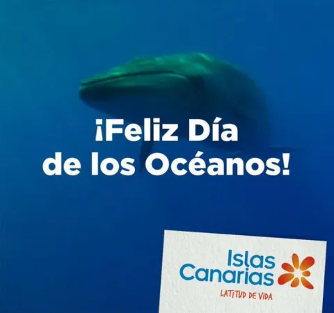 Día de los Océanos, una de las acciones dayketing de Islas Canarias