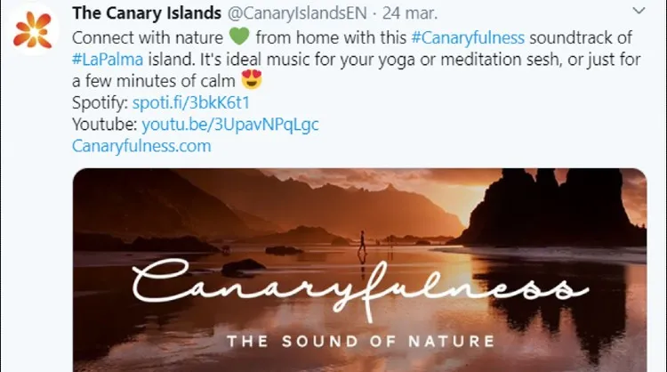 Some of the content posted on social media by the Canary Islands during the days of confinement due to the coronavirus crisis